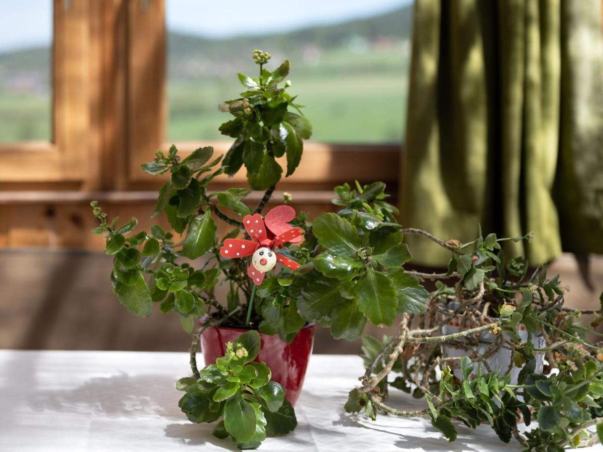 באד קוצטינג Quaint Holiday Home In Bad K Tzting With Garden Terrace מראה חיצוני תמונה